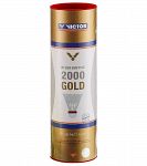 Victor 2000 Gold - Fast White 6szt.